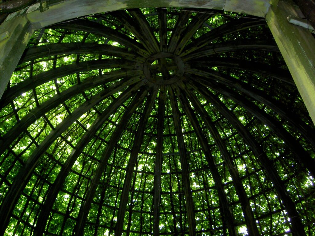 Cúpula cubierta de plantas